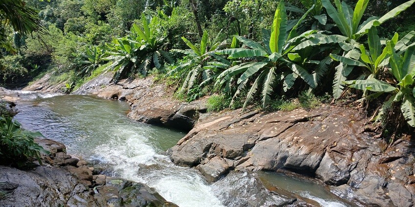 The magnificent view near Puliyancholai Waterfalls in Koli Hills in Tamil Nadu