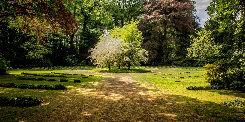 A mesmerising view of sprawling lush green lawns Pune Okayama Friendship Garden.