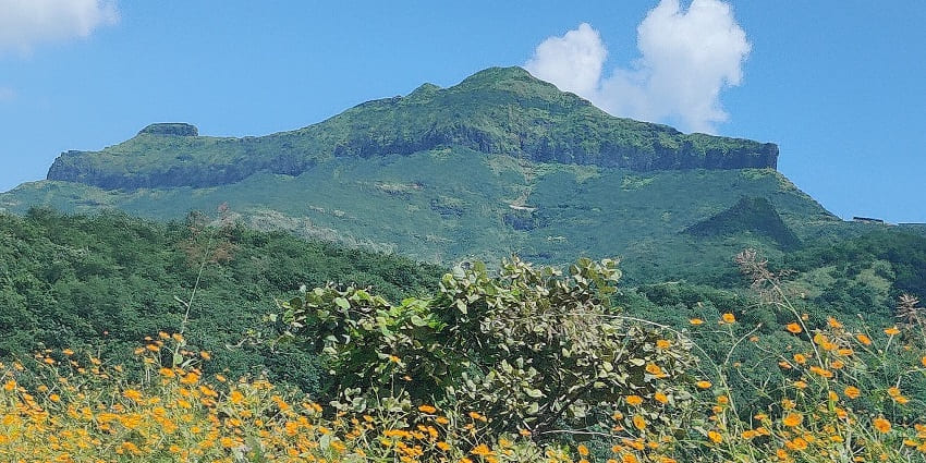An amazing view of the Purandar Fort with lush geen surroundings for travellers to explore