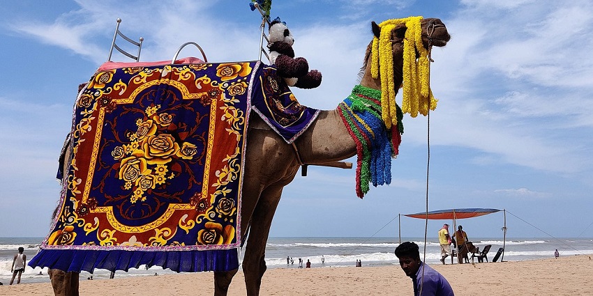 The sandy beach of Puri is one of the places near the Sudarshan Crafts Museum.