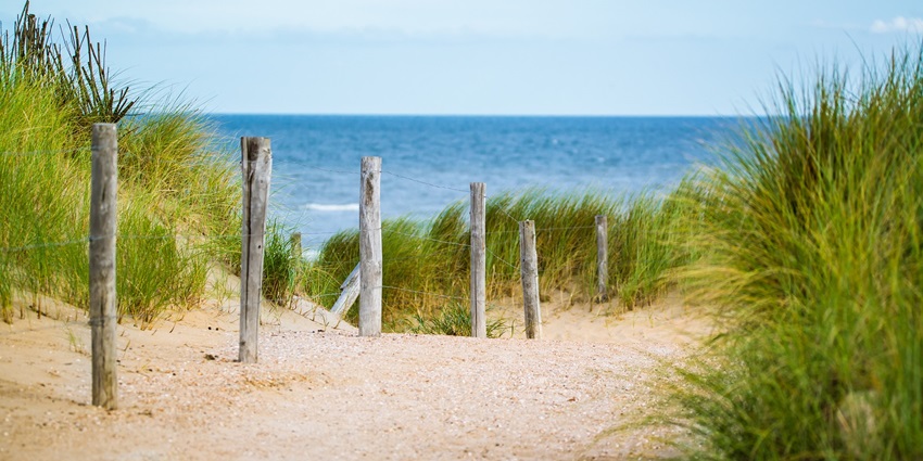 Puttige Beach has a thin wooden fence that stands at the edge of the water, with calm waves and a clear blue sky.