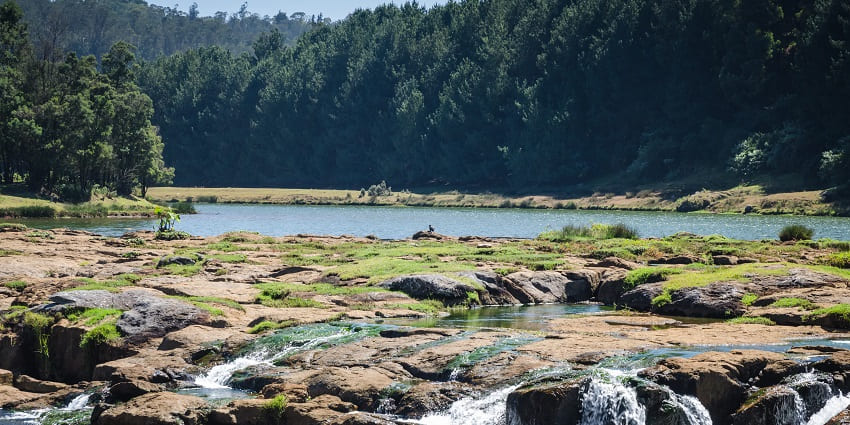 Serene Lake and waterfall surrounded by lush greenery.