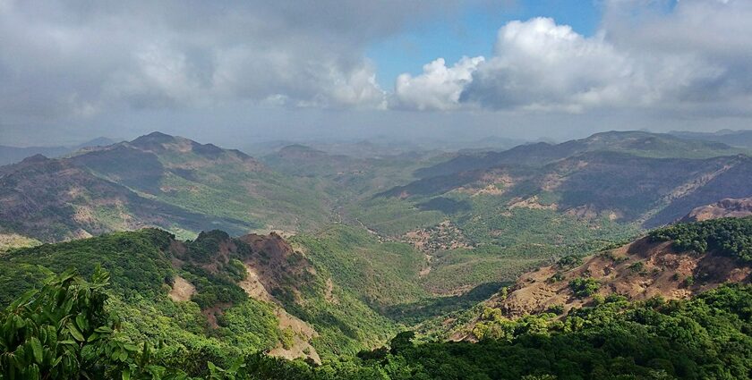 Scenic view of Radhanagari Wildlifе Sanctuary within Madai National Park's landscape.