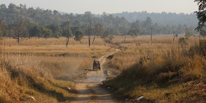 Visit Rajaji National Park for a jungle safari near Delhi to have the best time.