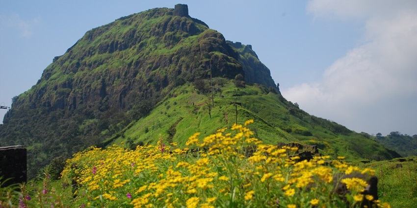 Rajgad Fort, a famous place near Malhargad Fort, is surrounded by lush greenery.