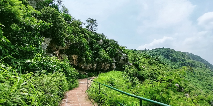 A scenic view of Saptaparni Caves, Rajgir Hills surrounded by lush green trees.