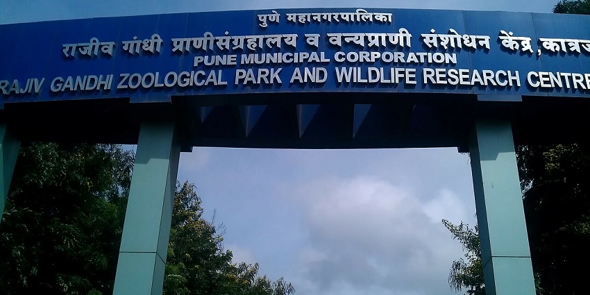 Entrance view of the Rajiv Gandhi Zoological Park with green surroundings, one of the zoos in Maharashtra.