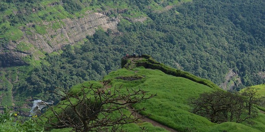A picture of Rajmachi Fort, surrounded by dense forests and greenery