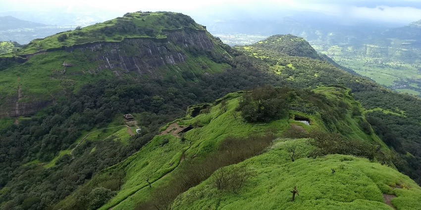 A picture of dense forest around the Rajmachi fort, providing a serene environment.