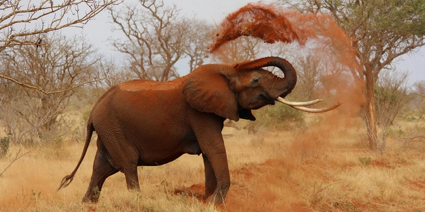 An image of Ralamandal Wildlife Sanctuary, highlighting its natural beauty and wildlife.