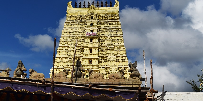 The stunning intricate architectural design of ancient temple in Tamil Nadu.