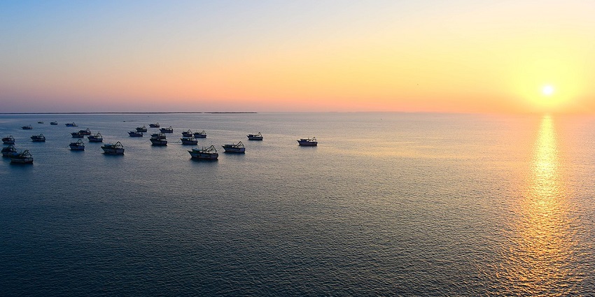 An aerial view of the vibrant coastal town of Rameswaram, India, showcasing its dense greenery.
