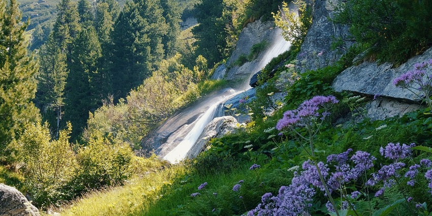 Majestic waterfall cascading down the mountains, surrounded by colour vision and water