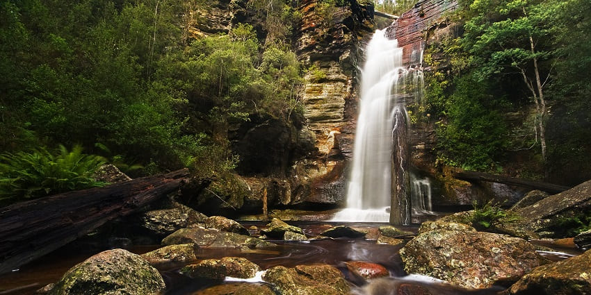 A tall waterfall cascades over rocks into a stream, surrounded by lush, green forest.