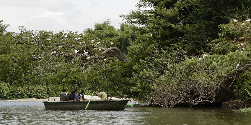A shot of visitors boating in a lake in the Ranganathittu Bird Sanctuary