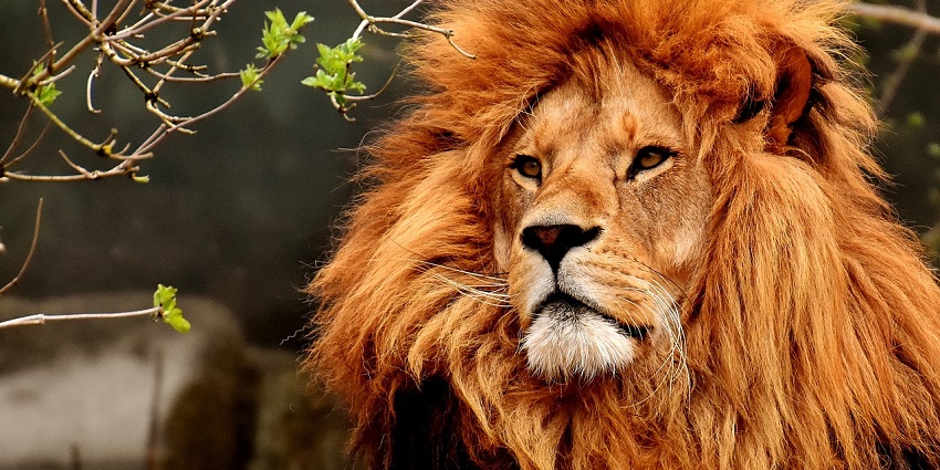 Wildlife in Rani Durgavati, one of the more secluded national parks in Madhya Pradesh.