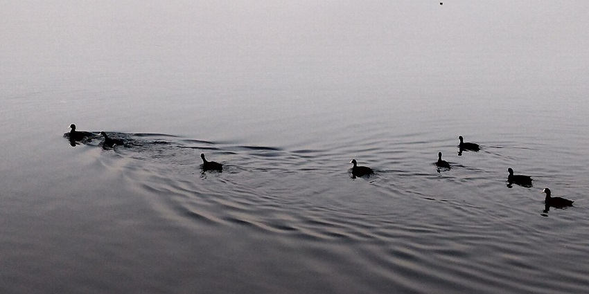 Rankala Lake in Kolapur is a peaceful and scenic spot, perfect for evening relaxation.