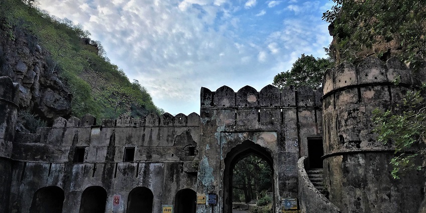 A visit to Ranthambore National Park is a memorable experience for wildlife lovers.