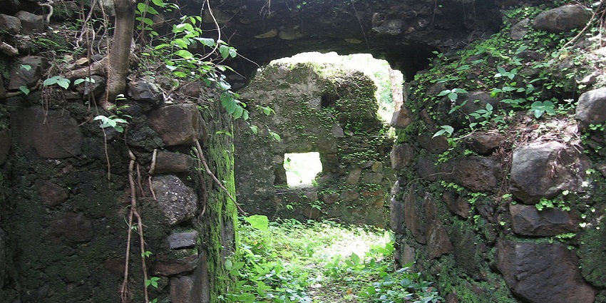 Exploring the historical ruins of Belapur Fort, one of the top things to do in Vashi