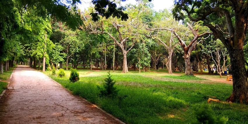 Cubbon Park in Bengaluru is a lush green oasis, offering walking paths, and scenic gardens.
