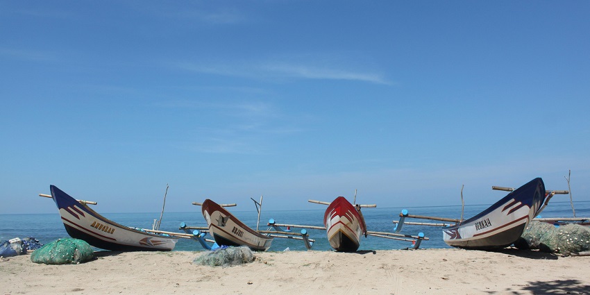 A picture of Kayalpatnam Beach, featuring golden sand, clear blue water, and palm trees