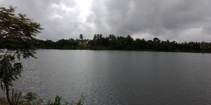 Experience the serene beauty of Manipal Lake, a perfect escape for nature lovers!