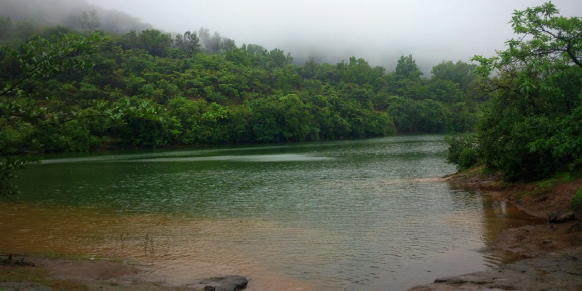 A tranquil view of Bhushi Dam during monsoon, with water cascading down and people enjoying the scenery