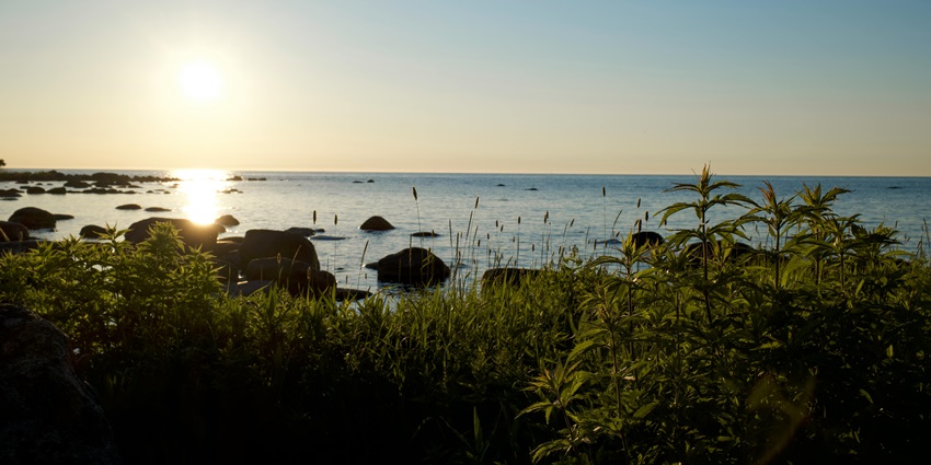 A scenic view of Panvel Lake featuring shimmering waters and lush green vegetation.