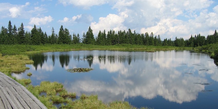 Serene Badkhal Lake is surrounded by hills, perfect for boating, and scenic nature views.