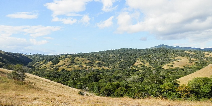 A picture of Rinca Island in Komodo National Park that offers guided treks.