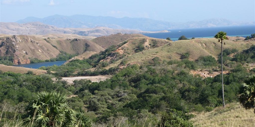 A panoramic view of Rinca Island offering a glimpse of its natural beauty