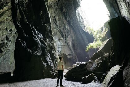 A breathtaking inside view of a lush green cave with a man standing inside in the day.