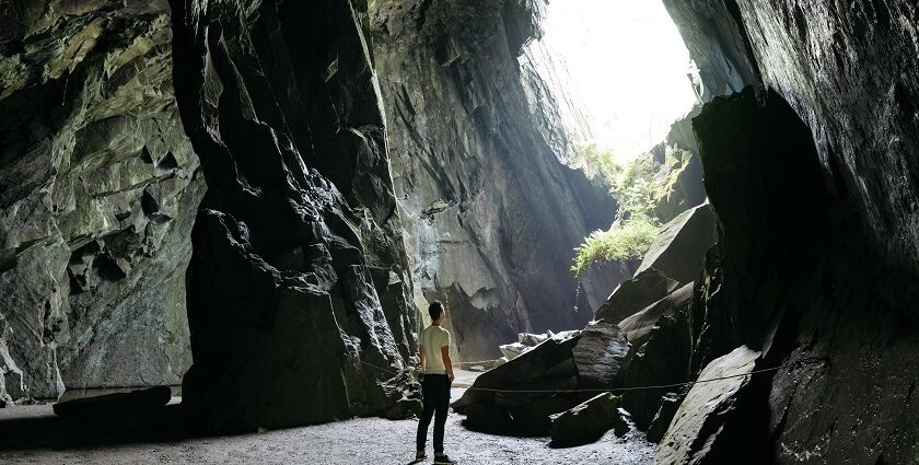 A breathtaking inside view of a lush green cave with a man standing inside in the day.