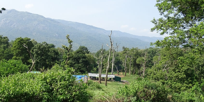 A picture of Roche Park, one of the most family-friendly tourist attractions in Thoothukudi.