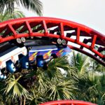 Thrilling roller coaster at a theme park, perfect for Rock Sports adventure park fun.