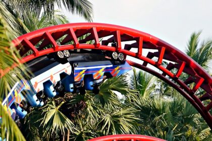 Thrilling roller coaster at a theme park, perfect for Rock Sports adventure park fun.