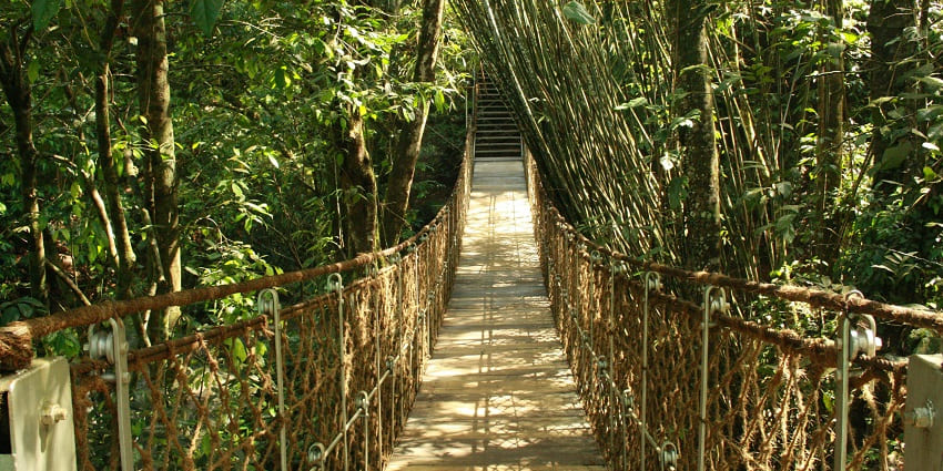 Indulge in rope walking and Burma loops, one of the best things to do in Bheemeshwari.