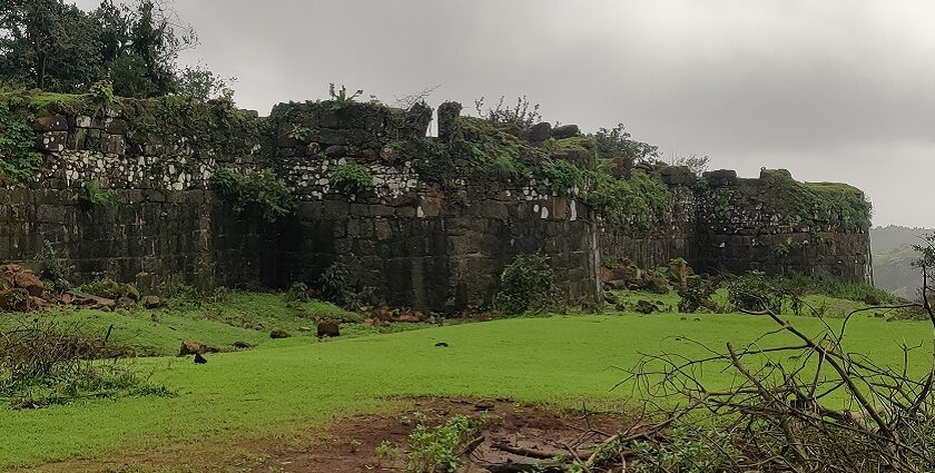 Stone walls of Sagargad Fort with a panoramic view of the surrounding landscape.