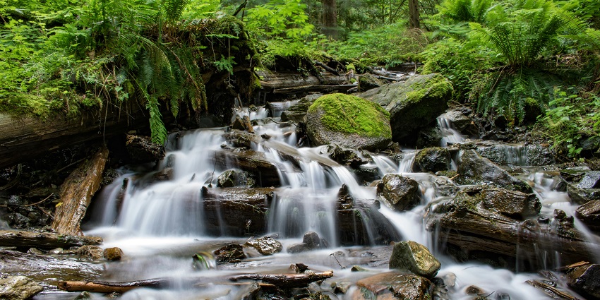 The picturesque Sahastradhara Waterfalls is one of the best places to visit in Sagar.
