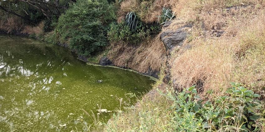 Sajjangad Fort, surrounded by lush hills, offers scenic views and historical significance.