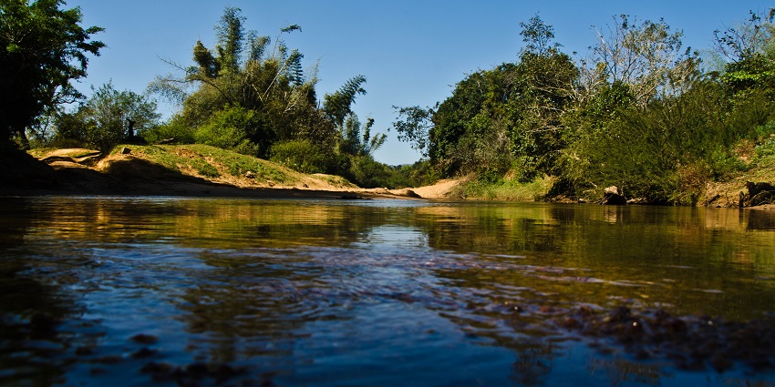 Lush green hills and valleys near Sakleshpur, showcasing the beauty of nature.