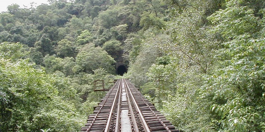 Sakleshpur is among the clean and green places to visit near Bangalore in June.