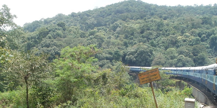 Sakleshpur, the charming hill station known for coffee plantations and trekking.