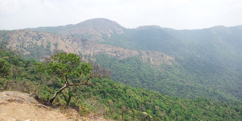 mage of Bisle ghat, Subramanya-Sakleshpur road Places to visit in May near Bangalore