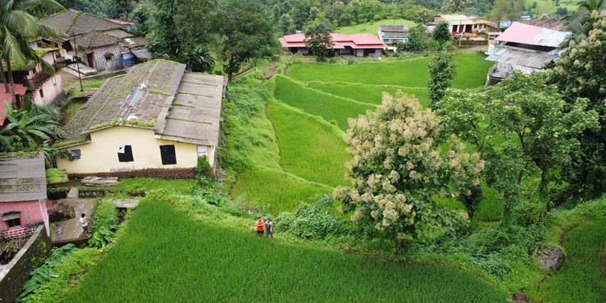 Scenic top view of the Salbardi village, small cottages amidst lush fields
