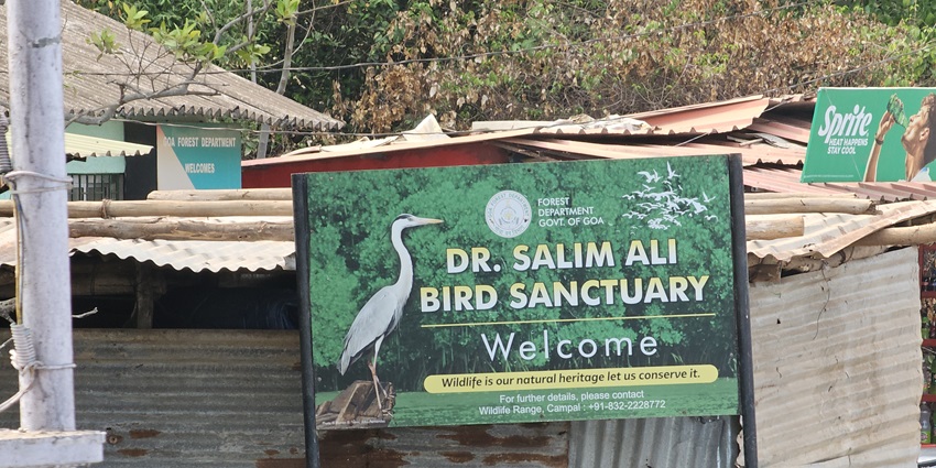 Signboard for Salim Ali Bird Sanctuary in Goa, placed on a tin-roofed village structure