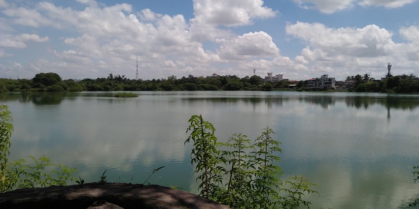 An image of Salim Ali Lake, one the best places to visit near Grishneshwar Temple.