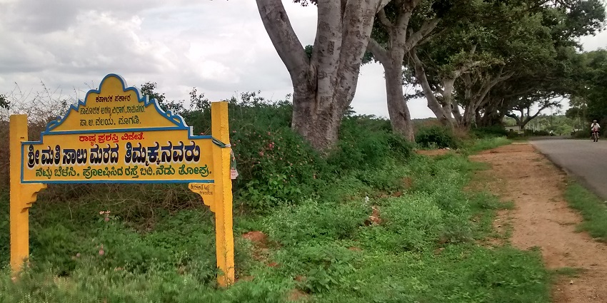 The Salu Marada Thimmakka Park features greenery and walking trails for relaxation.