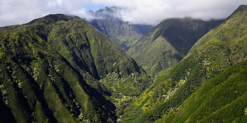 An image featuring unique rock formations and trekking trails with lush green surroundings.