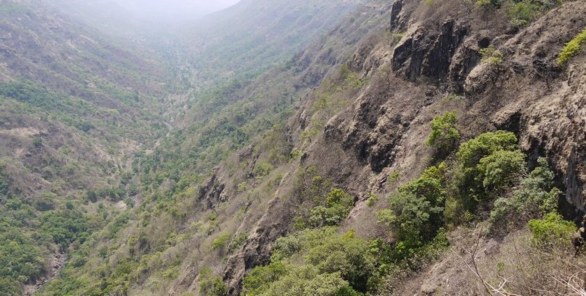 Sandhan Valley in the rainy season transforms into a lush paradise